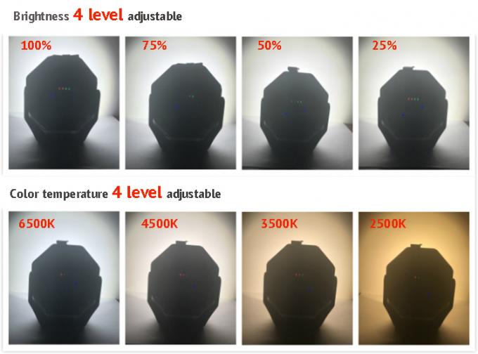 2 في 1 مصباح LED عالي الطاقة CRI 95 للسيارة لمطابقة الألوان مع ضوء المعالجة بالأشعة فوق البنفسجية 3